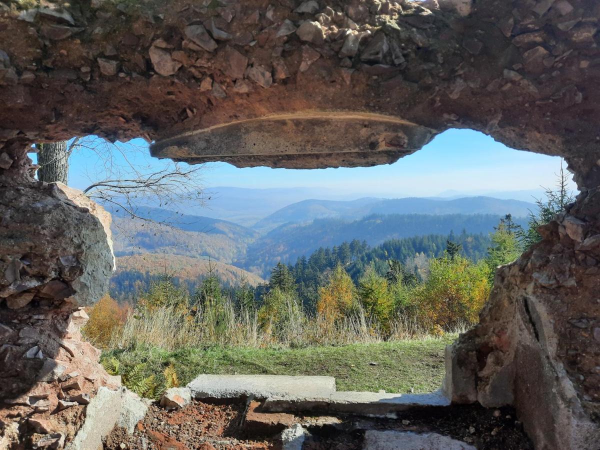 Domek Ostoja Lomnica  Bagian luar foto