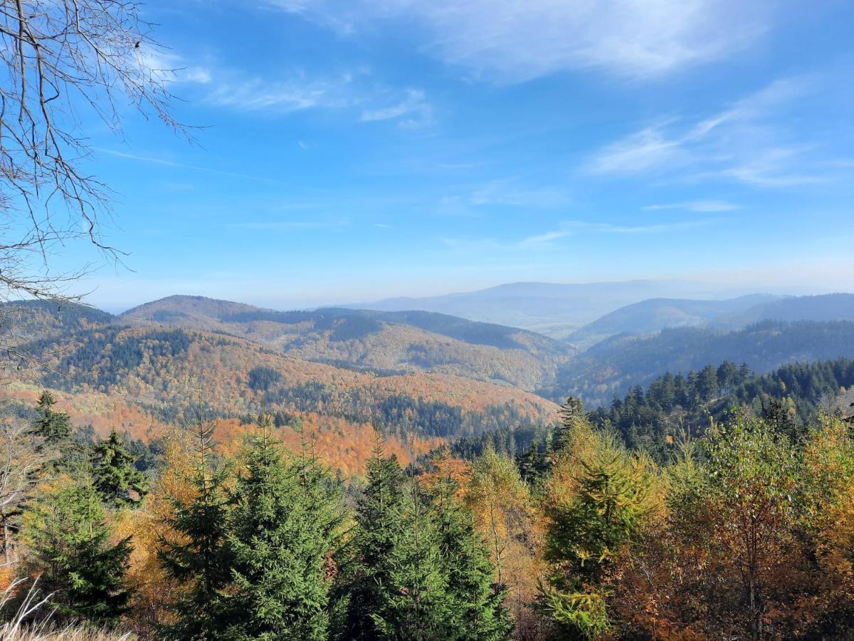 Domek Ostoja Lomnica  Bagian luar foto