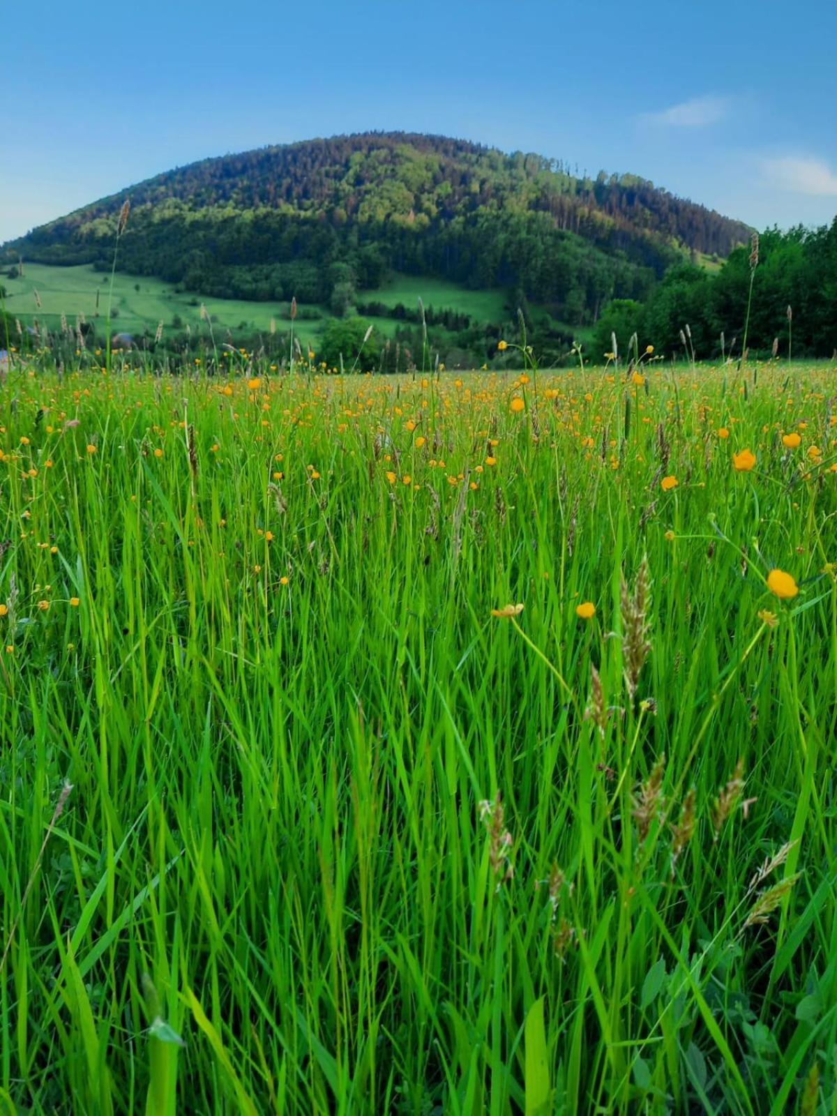 Domek Ostoja Lomnica  Bagian luar foto