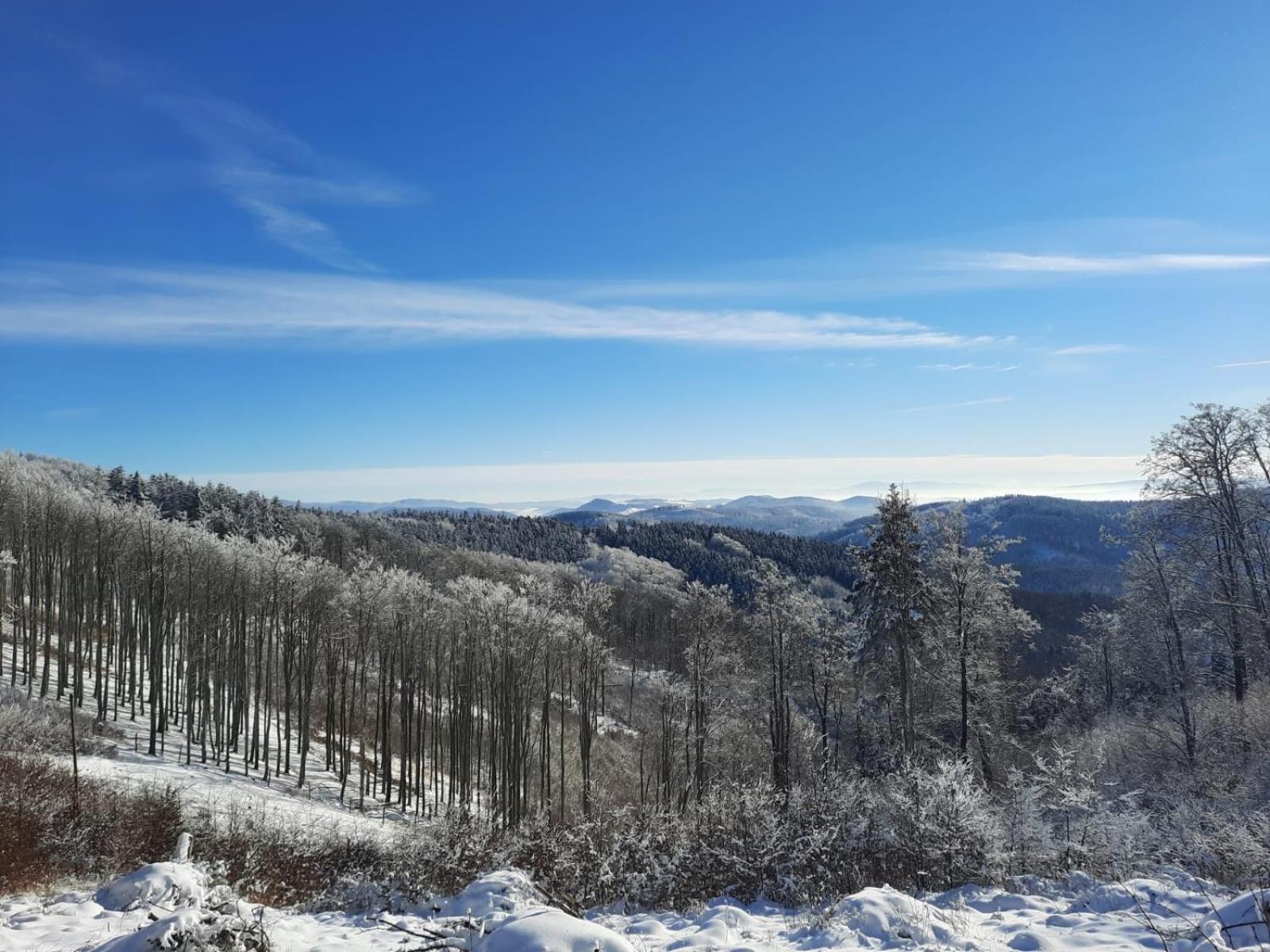 Domek Ostoja Lomnica  Bagian luar foto