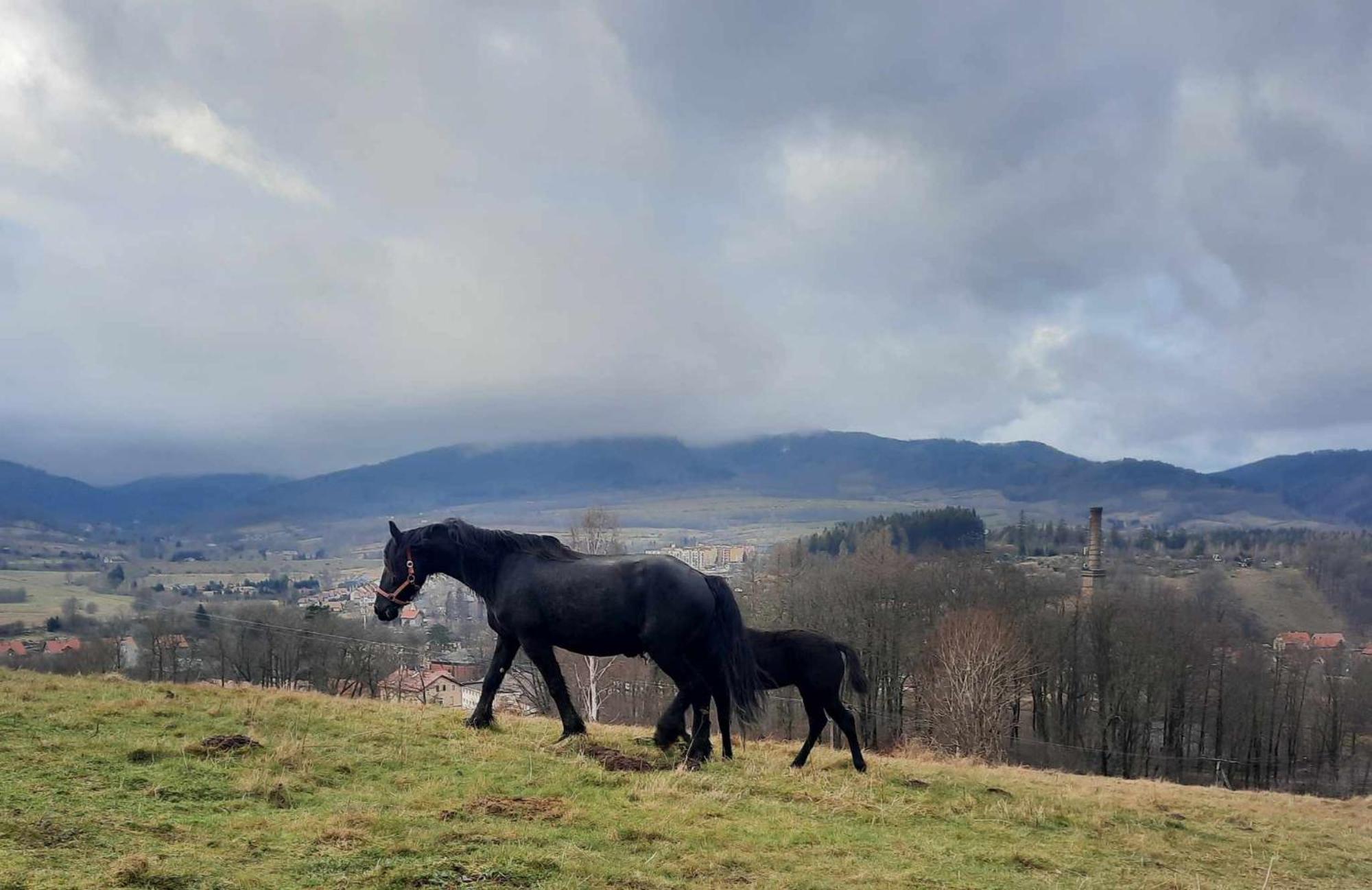 Domek Ostoja Lomnica  Bagian luar foto