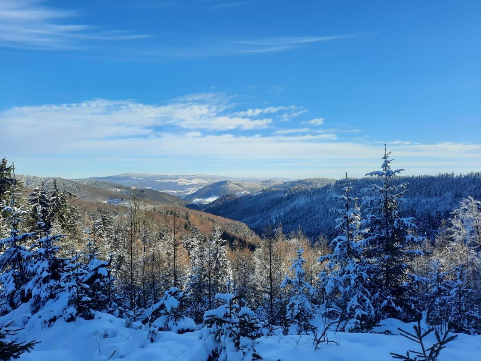 Domek Ostoja Lomnica  Bagian luar foto