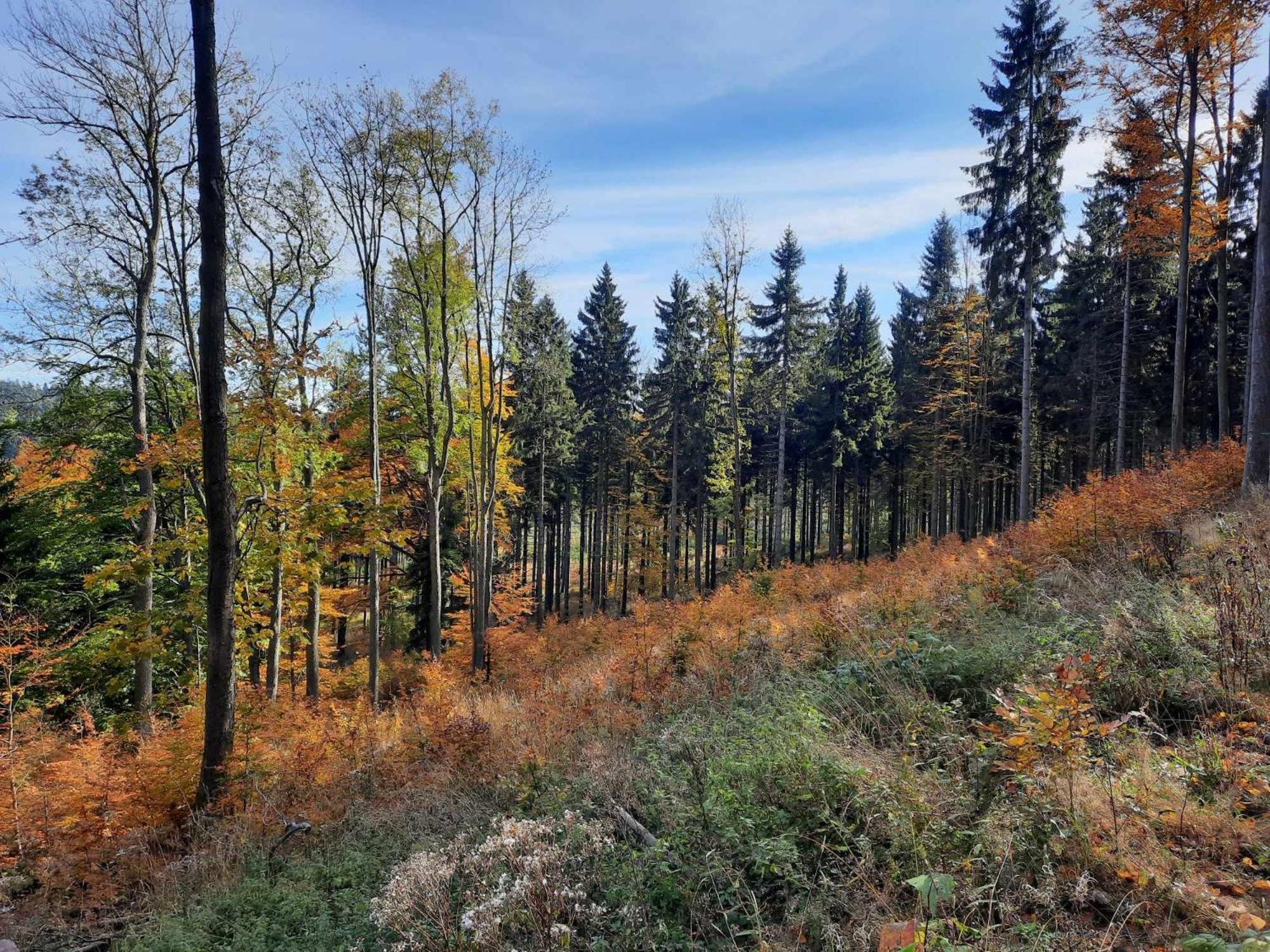 Domek Ostoja Lomnica  Bagian luar foto